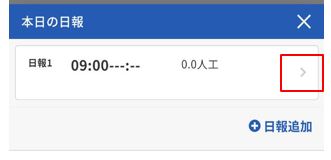 nippou004.JPG